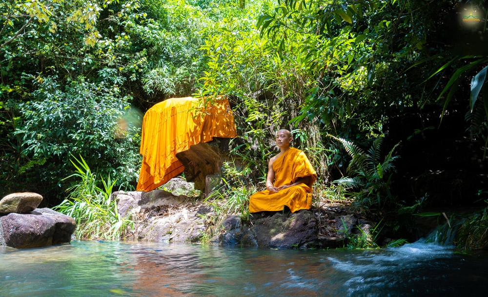 Chư Tăng chùa Ba Vàng nhập rừng chuyên tu, miên mật thực hành hạnh đầu đà